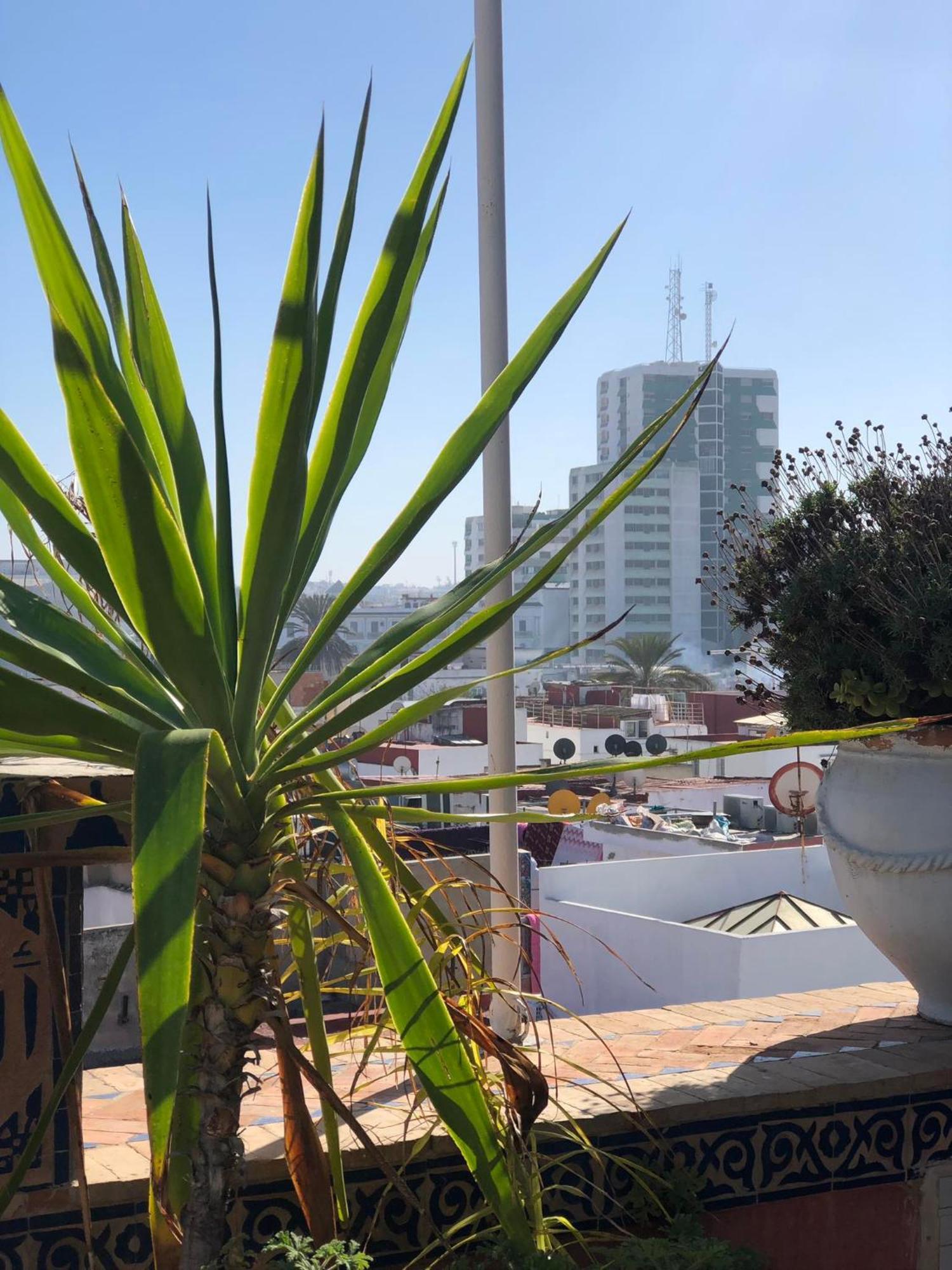 Riad Razoli Sidi Fateh Rabat Exteriér fotografie