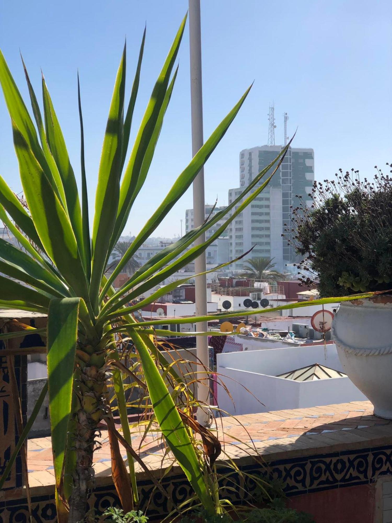 Riad Razoli Sidi Fateh Rabat Exteriér fotografie